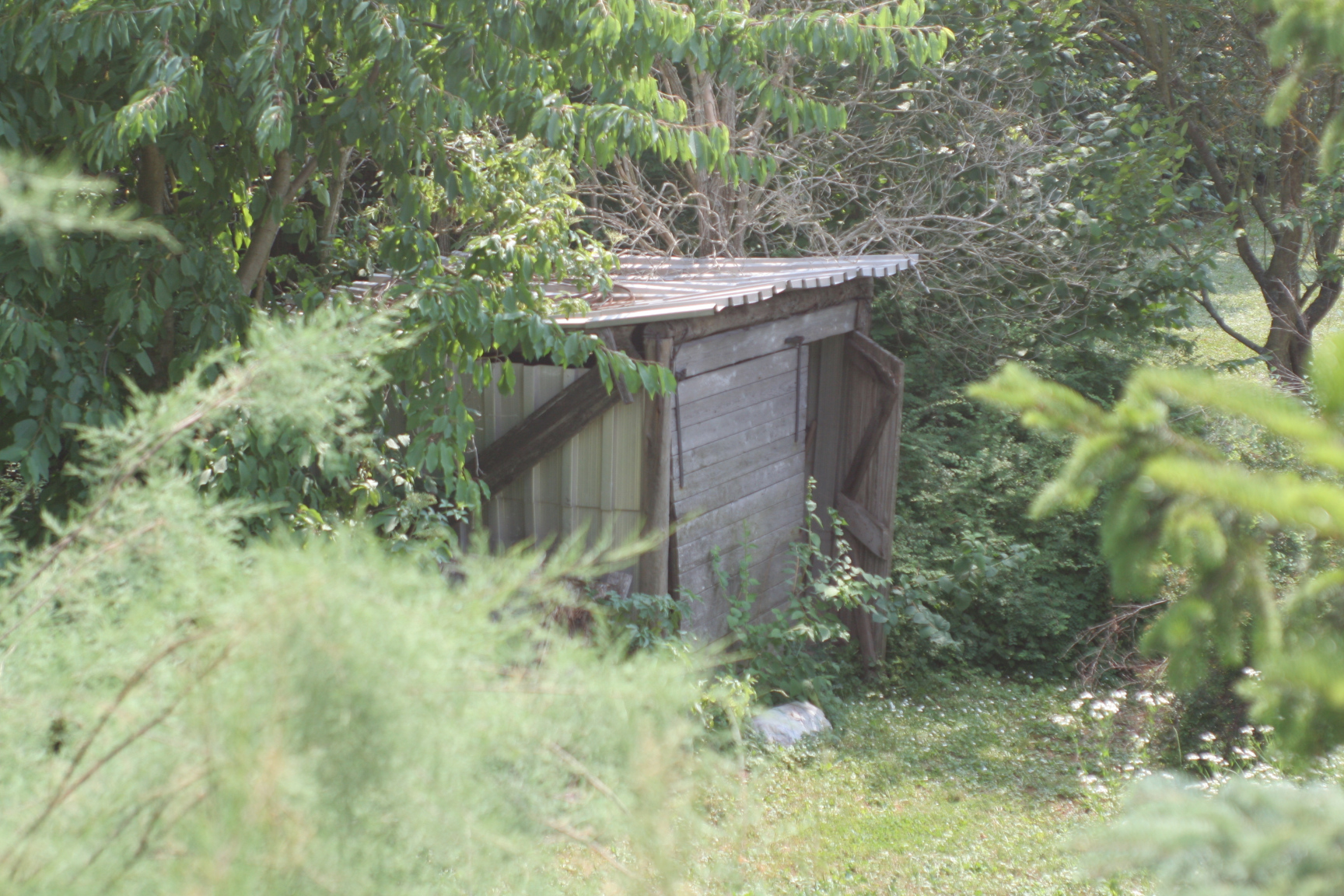 dilapidated garden shed